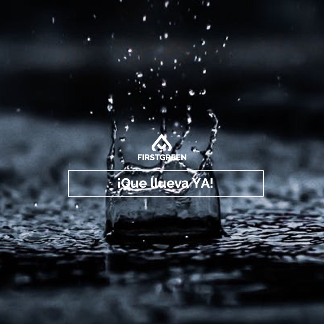 Los mejores regalos sostenibles personalizados para época de lluvia